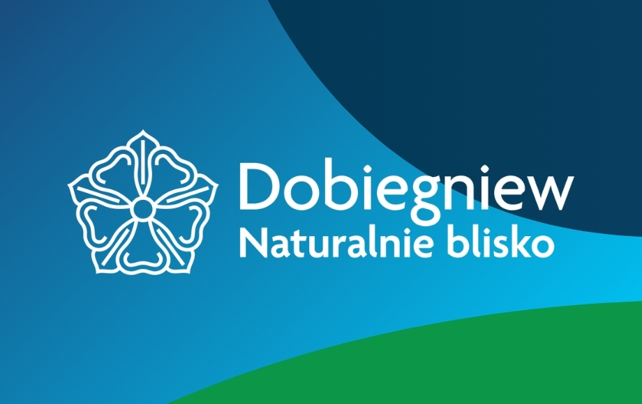 Bezpłatny webinar o wsparciu dla przedsiębiorców z Gminy Dobiegniew