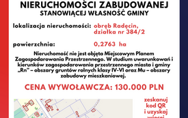 Radęcin 384