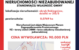 Dobiegniew 315