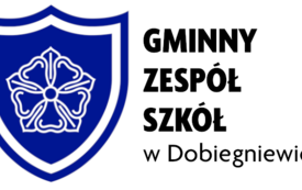 gzs_dbg