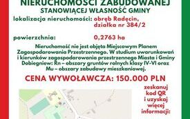 Radęcin działka nr 384-2