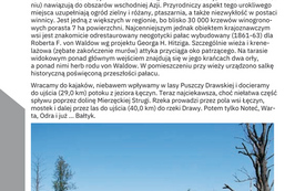 Folder kajakiem, rowerem, pieszo (47)