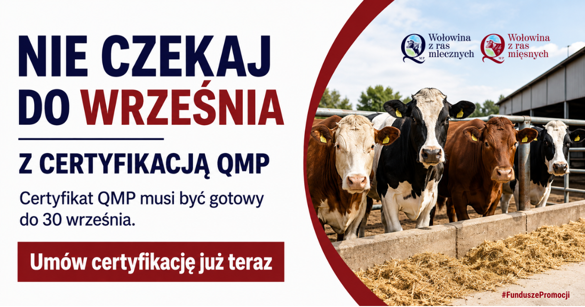certyfikacja QMP