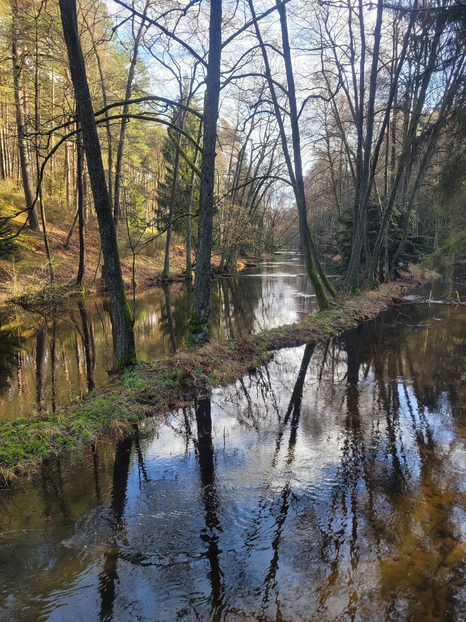 rzeka Płociczna rzeka Płociczna