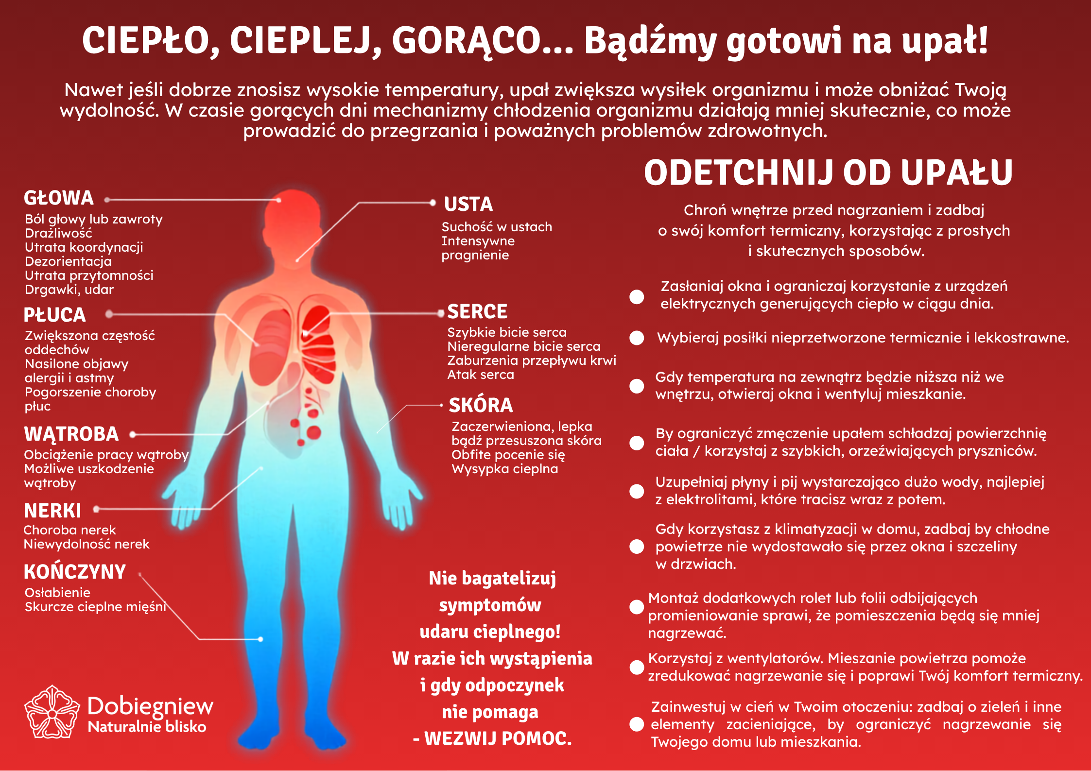 upał zalecenia