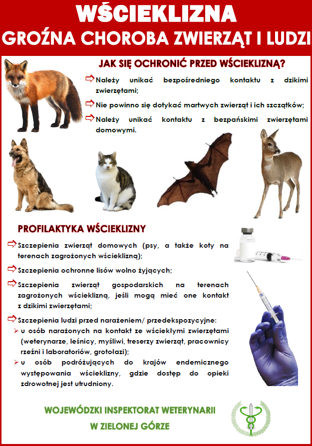 wścieklizna informacje