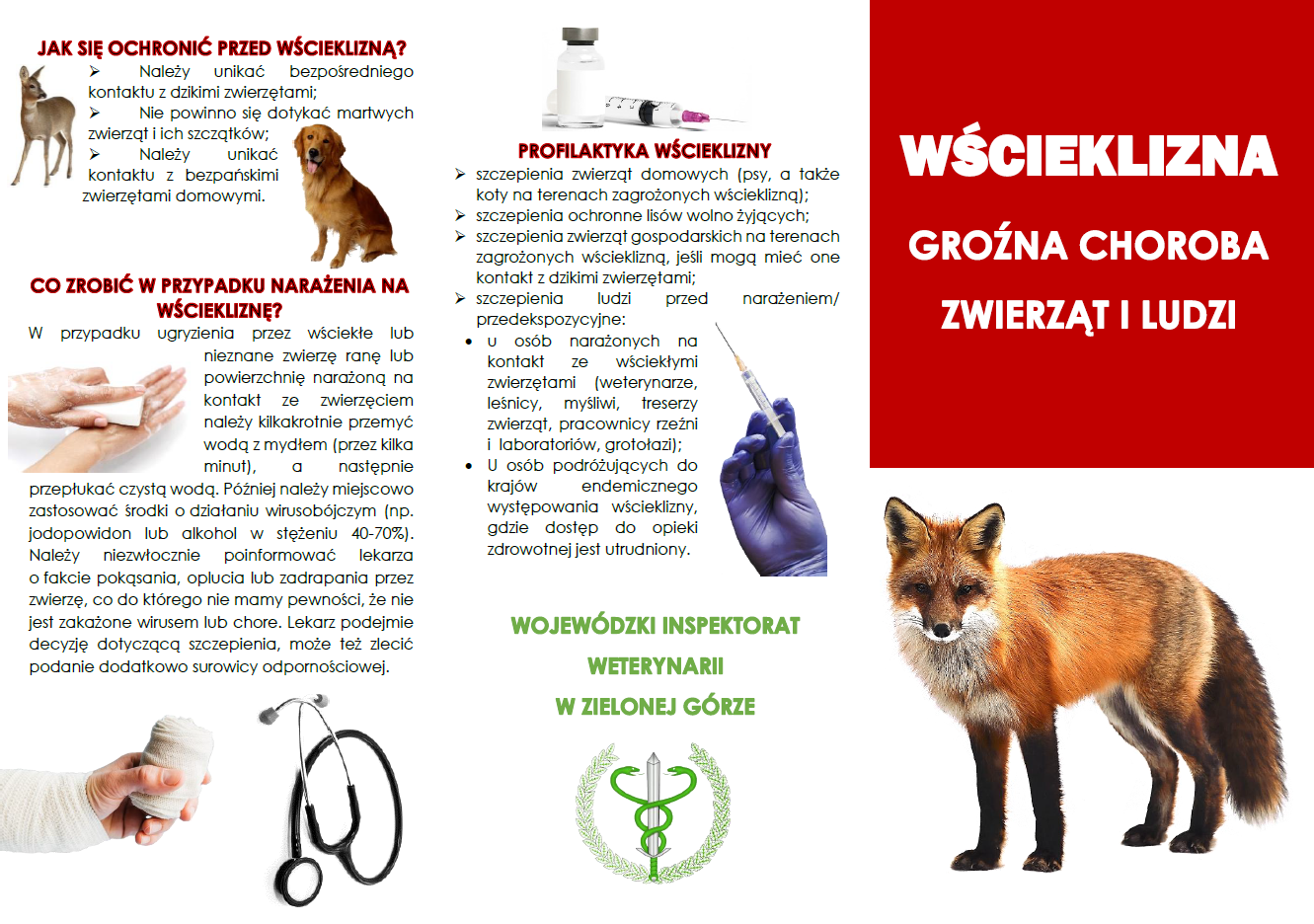 wścieklizna informacje
