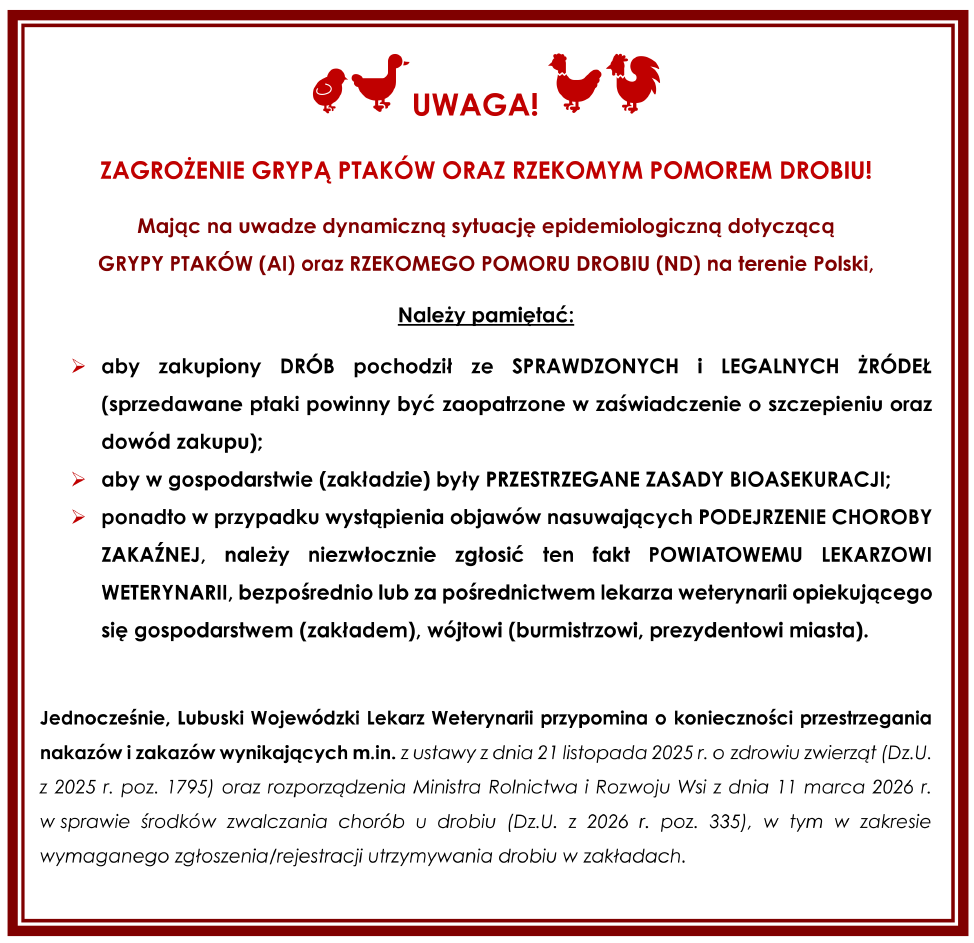 zagrożenie grypą ptasią