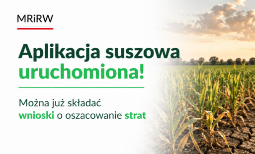 aplikacja suszowa