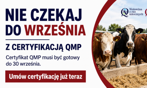 certyfikacja QMP