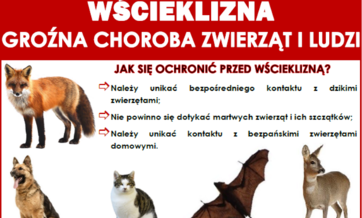 wścieklizna informacje