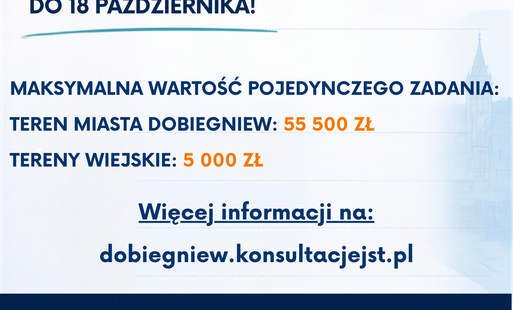 Zdjęcie do Budżet Obywatelski Gminy Dobiegniew 2027 &ndash; masz pomysł? Zgłoś go!