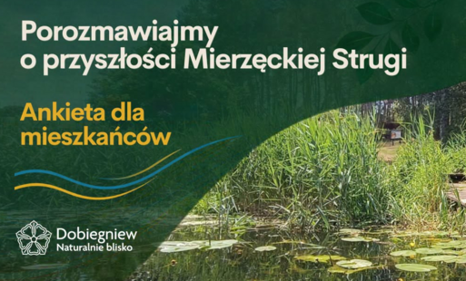 Mierzęcka Struga